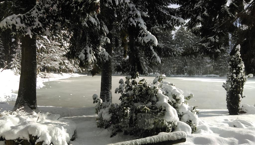 Hotel Steineweiher St. Vith Cameră foto
